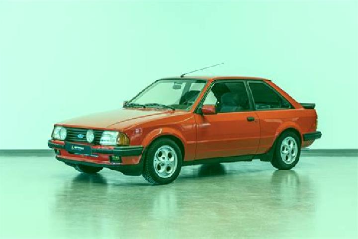 escort Trevico