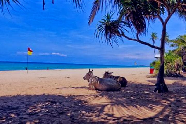 escort Trincomalee
