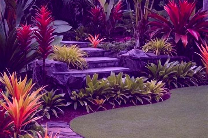 escort Tropical Gardens