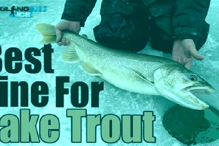 escort Trout Lake