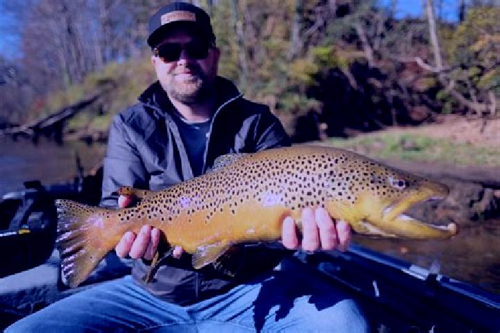 escort Trout River