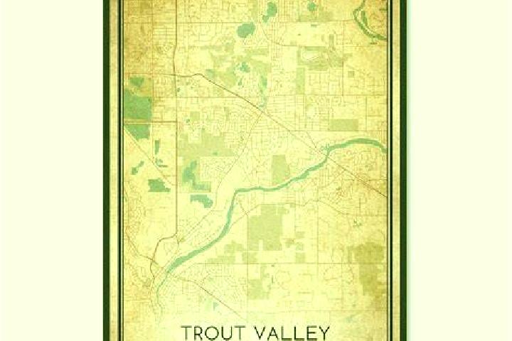 escort Trout Valley