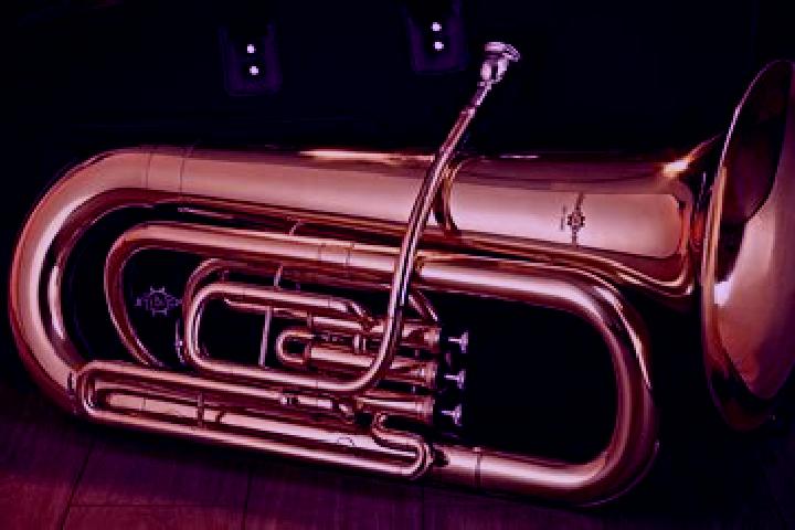 escort Tuba Koto