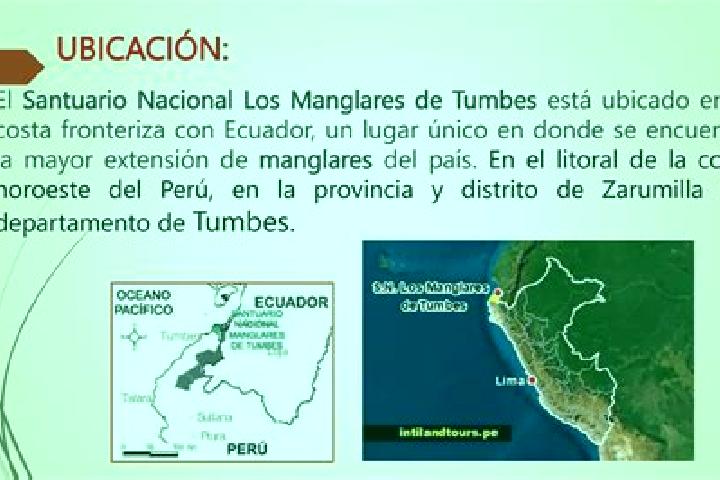 escort Tumbes