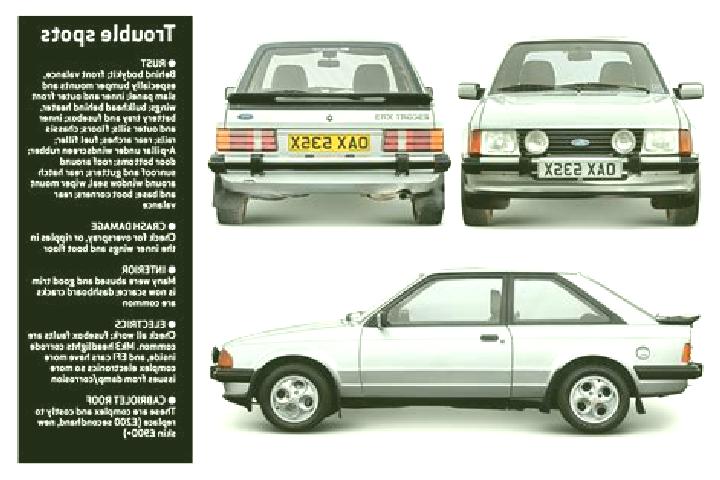 escort Tuni