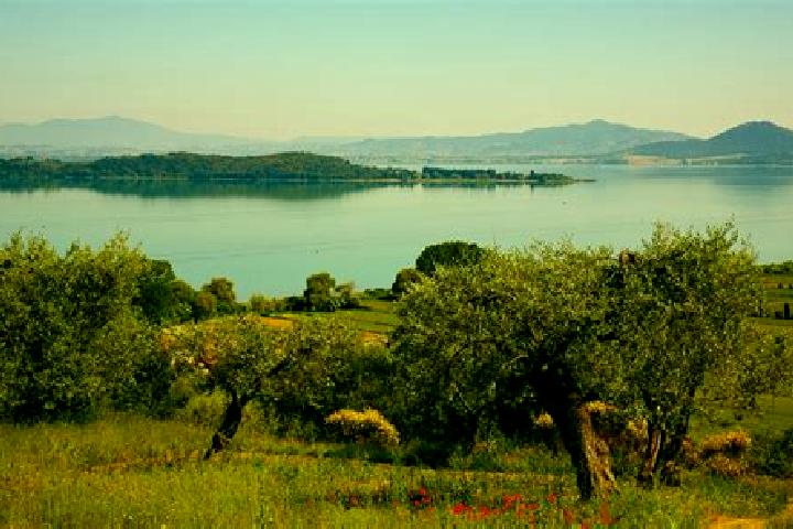 escort Tuoro sul Trasimeno