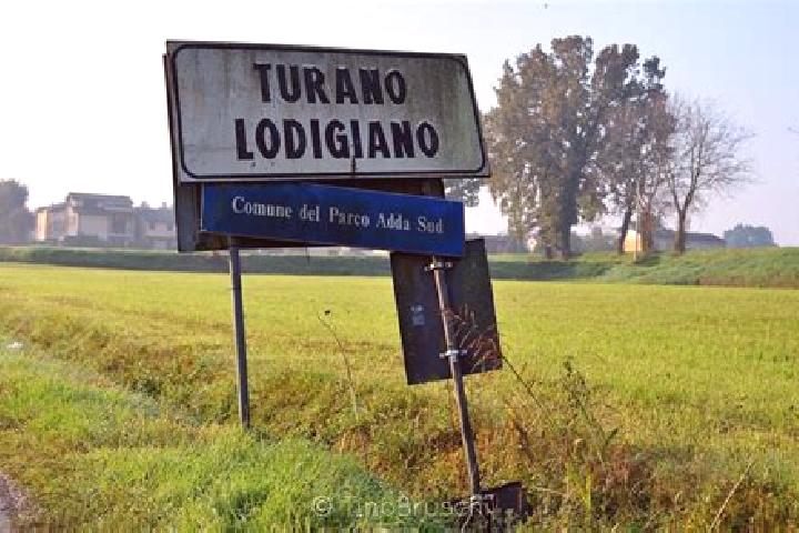escort Turano Lodigiano