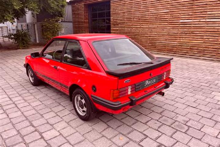 escort Turek