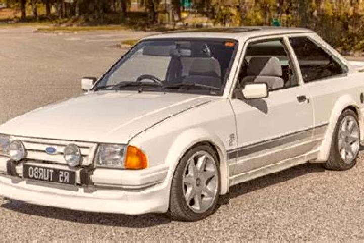 escort Tursi
