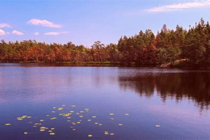 escort Turtle Lake