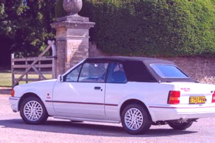 escort Turvey Park