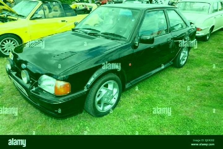 escort Tutak