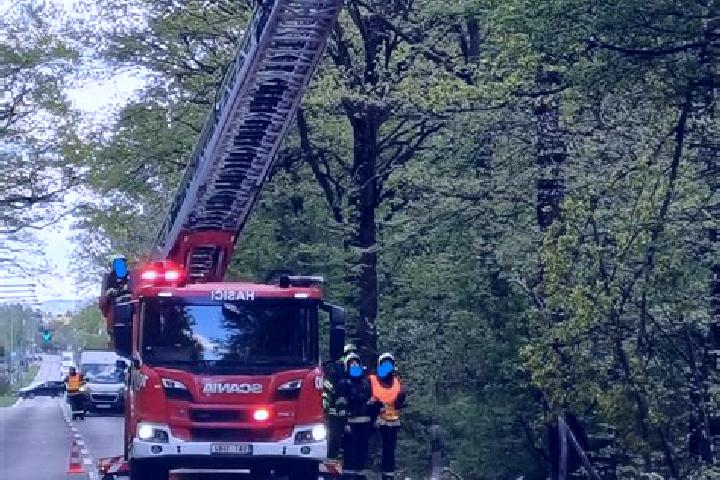 escort Ujezd nad Lesy