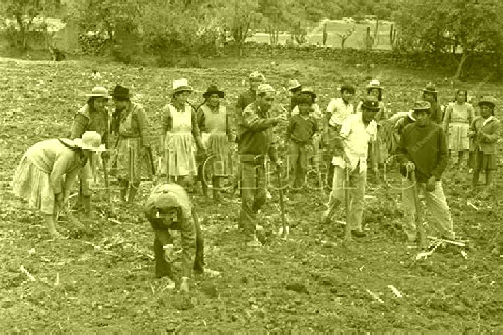 escort Unidad Familiar Confederacion de Trabajadores Campesinos