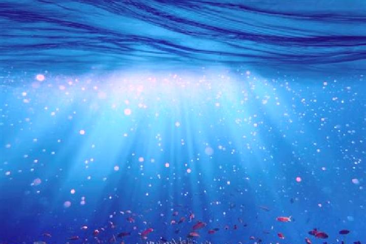 escort Unterwasser