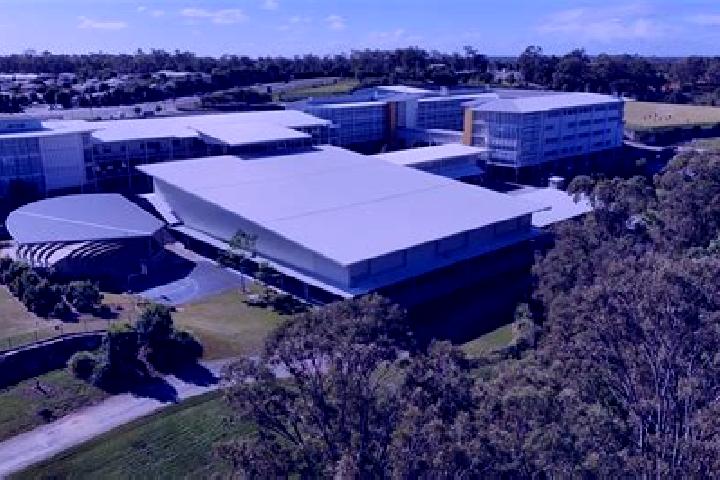 escort Upper Coomera