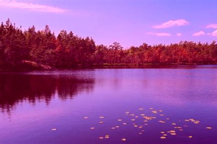 escort Upper Lake