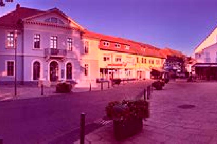 escort Urdorf / Nieder-Urdorf