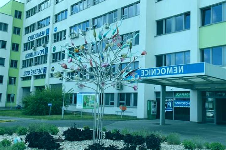 escort Usti