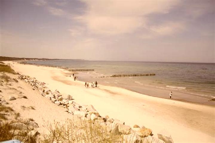 escort Ustka
