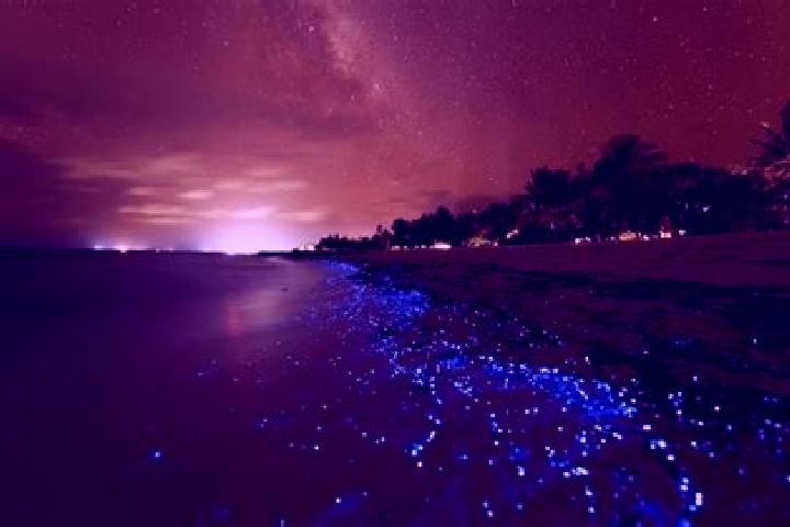 escort Vaadhoo