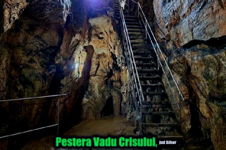 escort Vadu Crisului