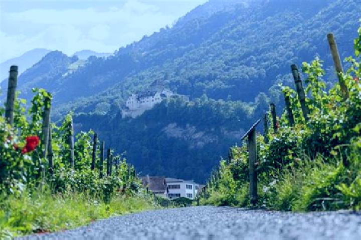 escort Vaduz