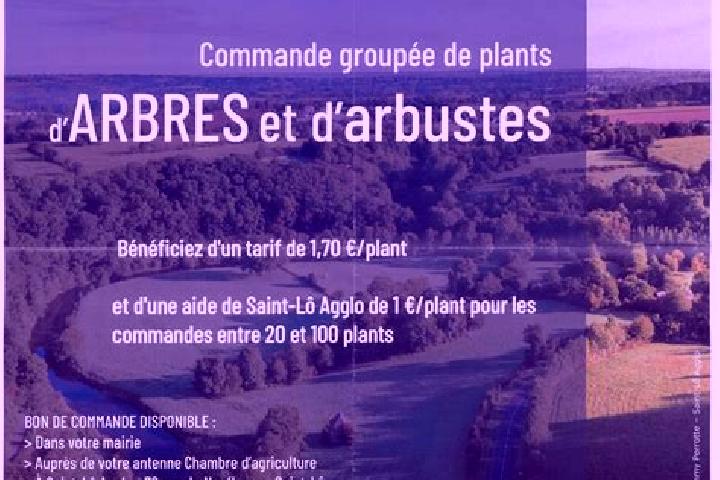 escort Val-des-Arbres