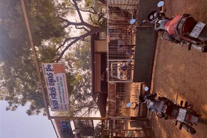 escort Valabhipur