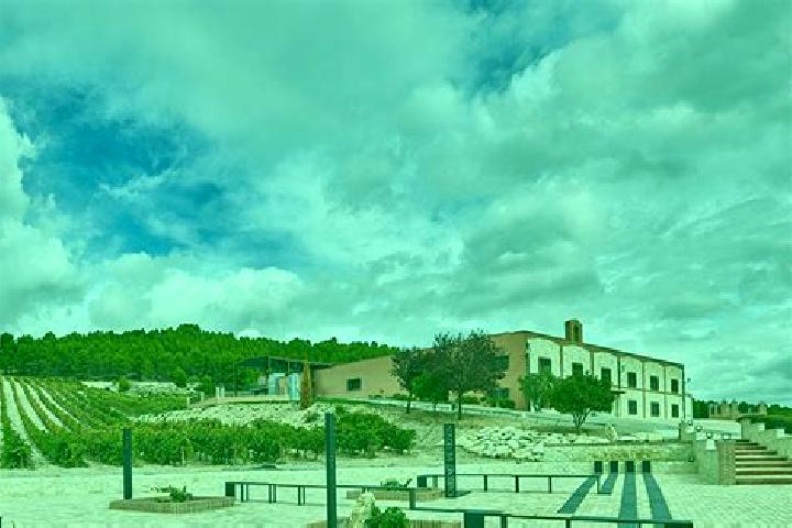escort Valbuena de Duero