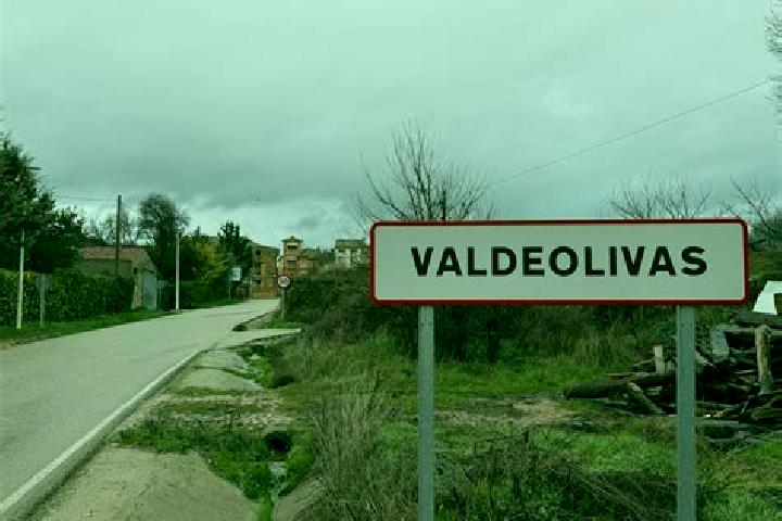 escort Valdeolivas