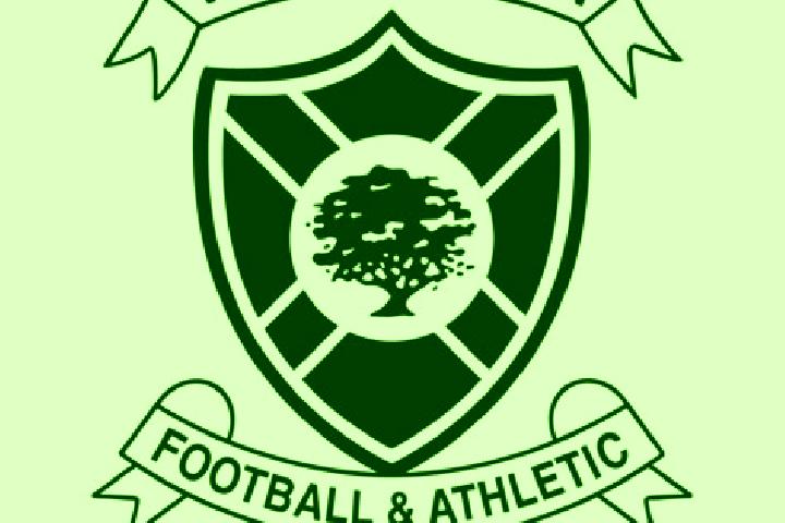 escort Vale of Leven