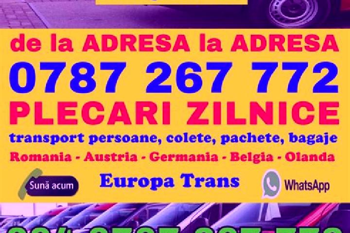 escort Valea Bolvasnita