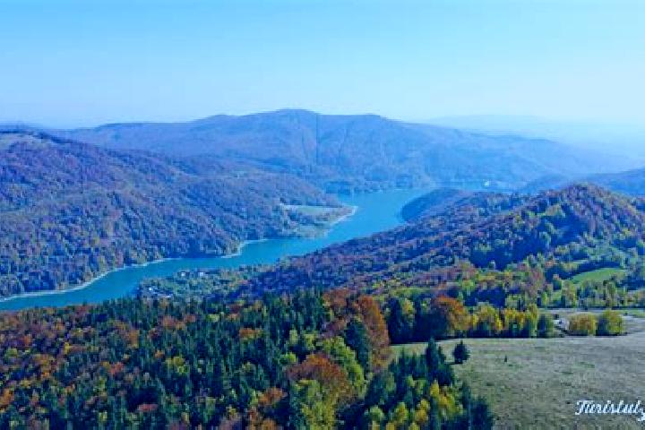 escort Valea Catinei