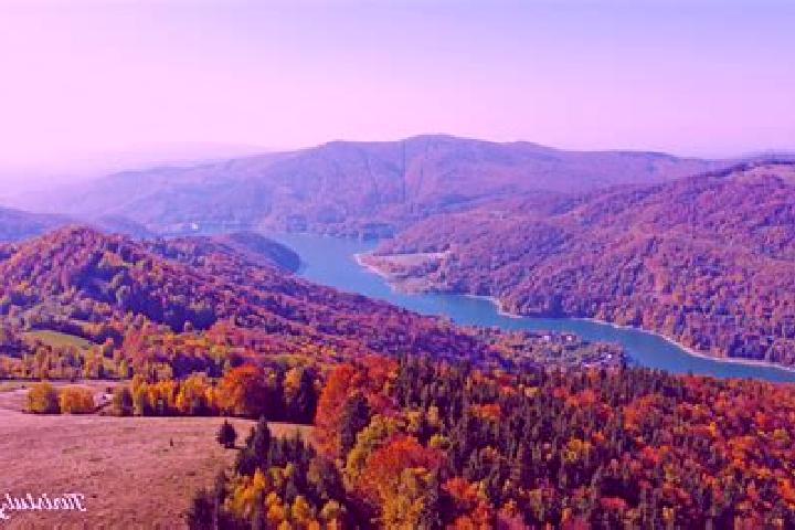 escort Valea Leurzii