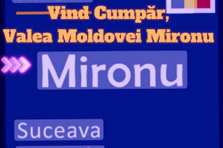 escort Valea Moldovei
