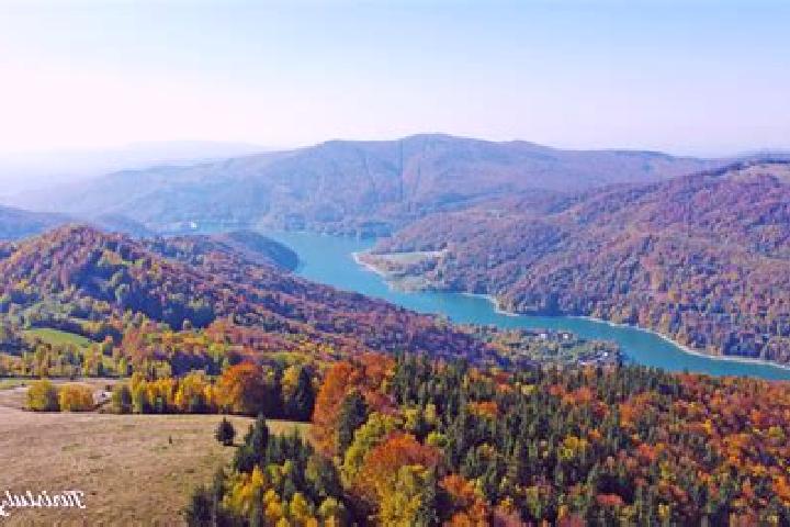 escort Valea Pojarului