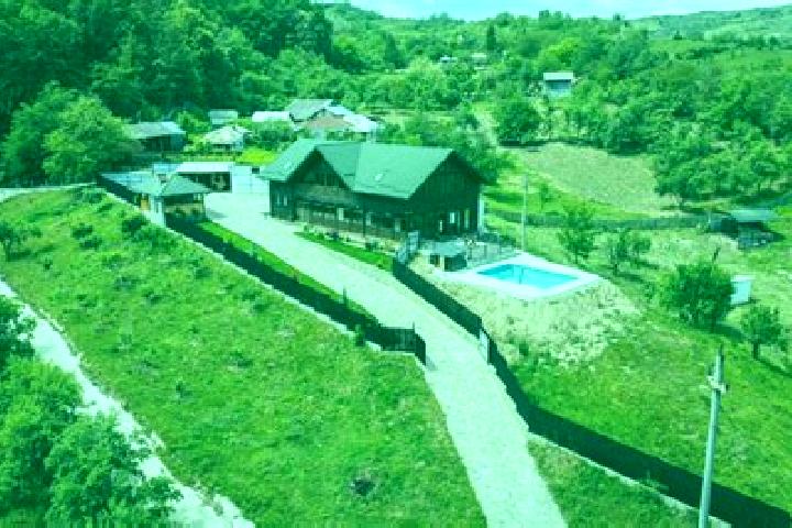 escort Valea Salciei