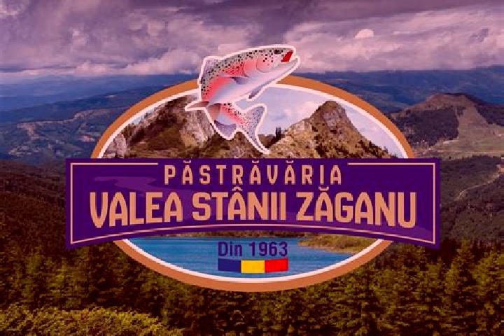 escort Valea Stanii