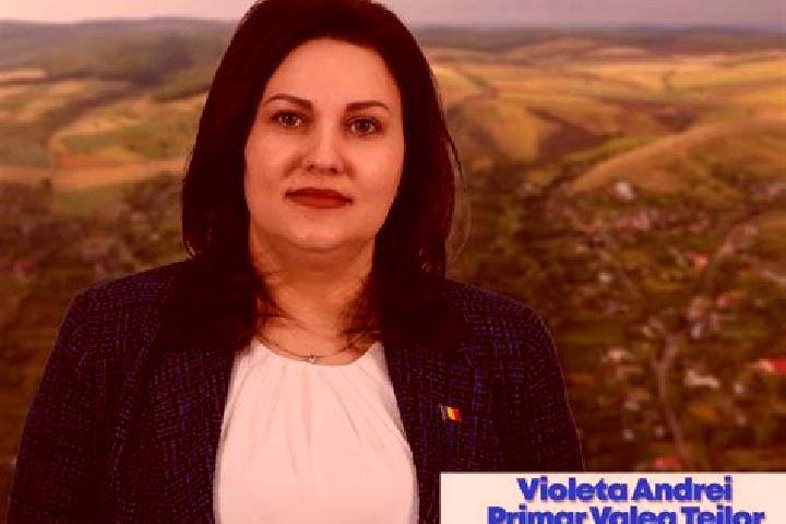 escort Valea Teilor