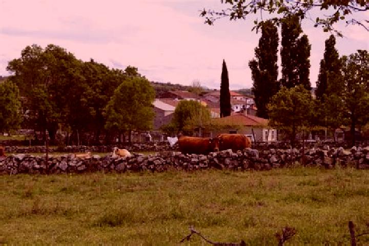 escort Valverde de Valdelacasa