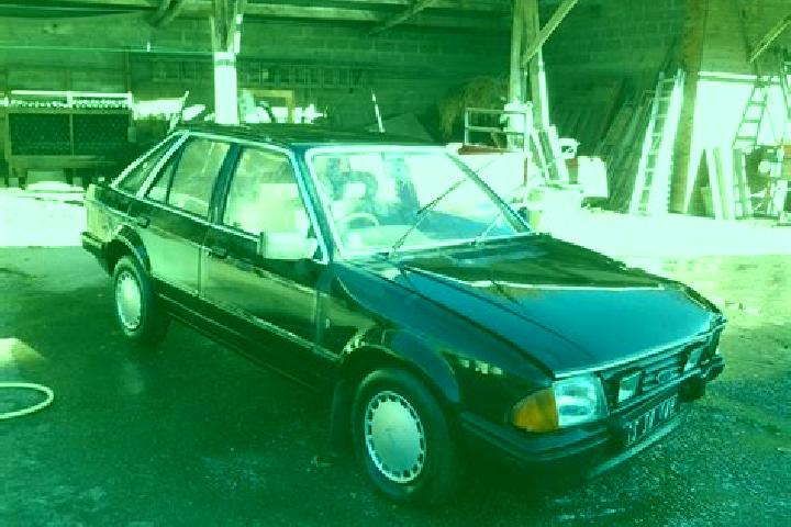 escort Vampolieri l
