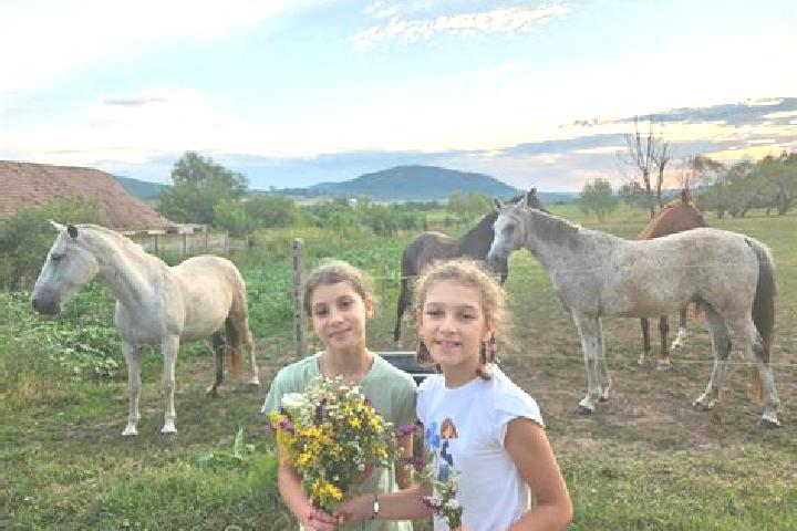 escort Vartoapele de Jos