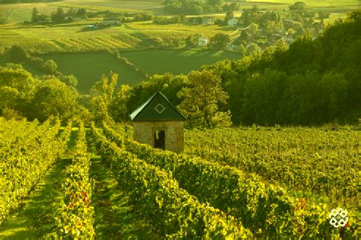 escort Vaux-en-Beaujolais