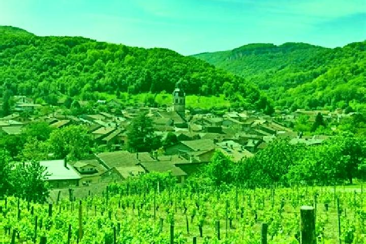 escort Vaux-en-Bugey