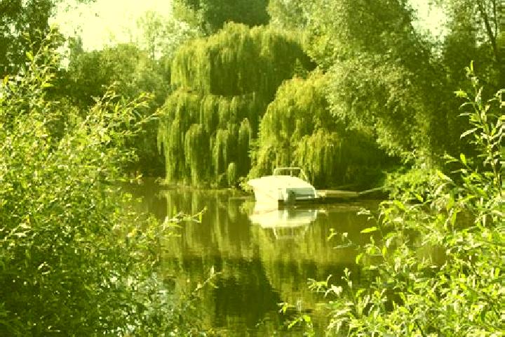 escort Vaux-sur-Seine