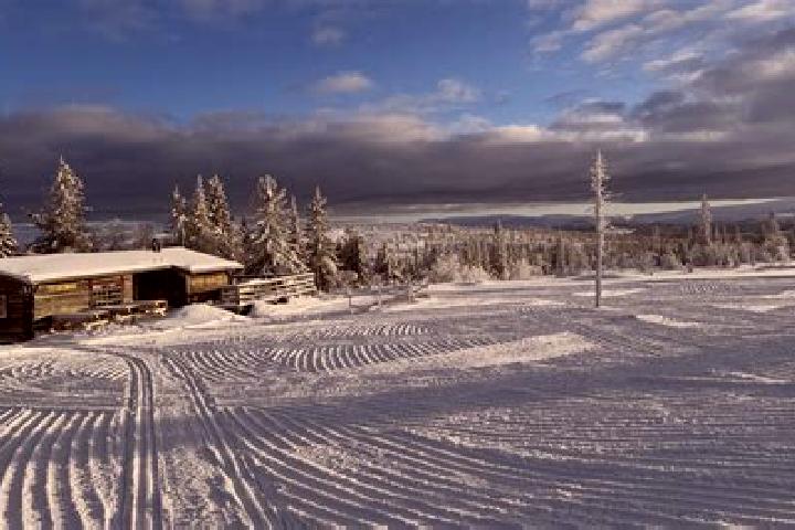 escort Vemdalen