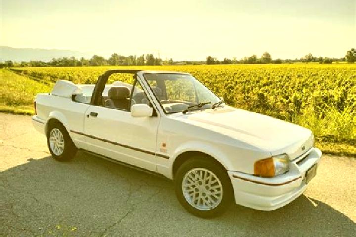 escort Venta de Bravo
