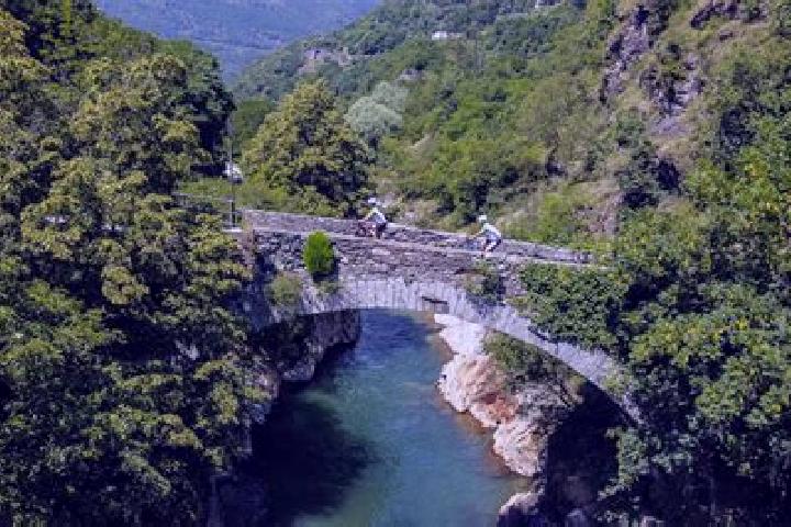 escort Vezza d Alba