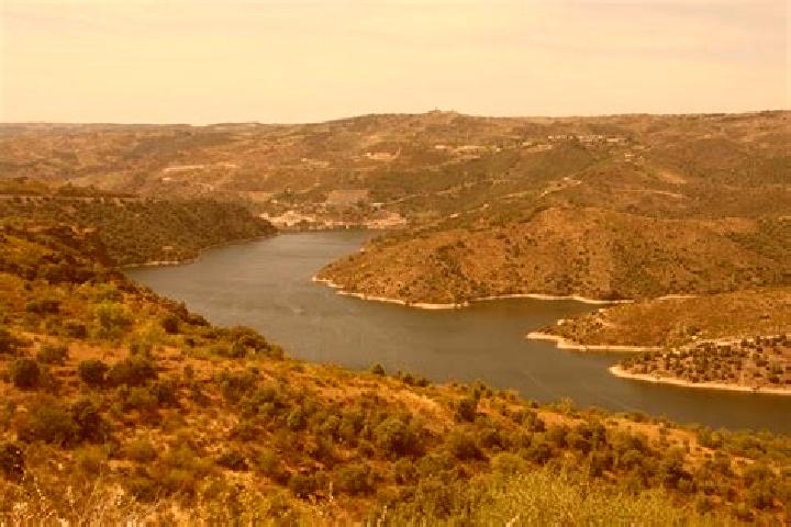 escort Viana de Duero